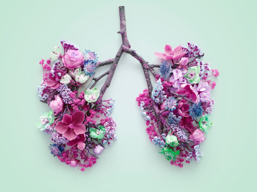 Photo of spring flowers representing the human lungs.