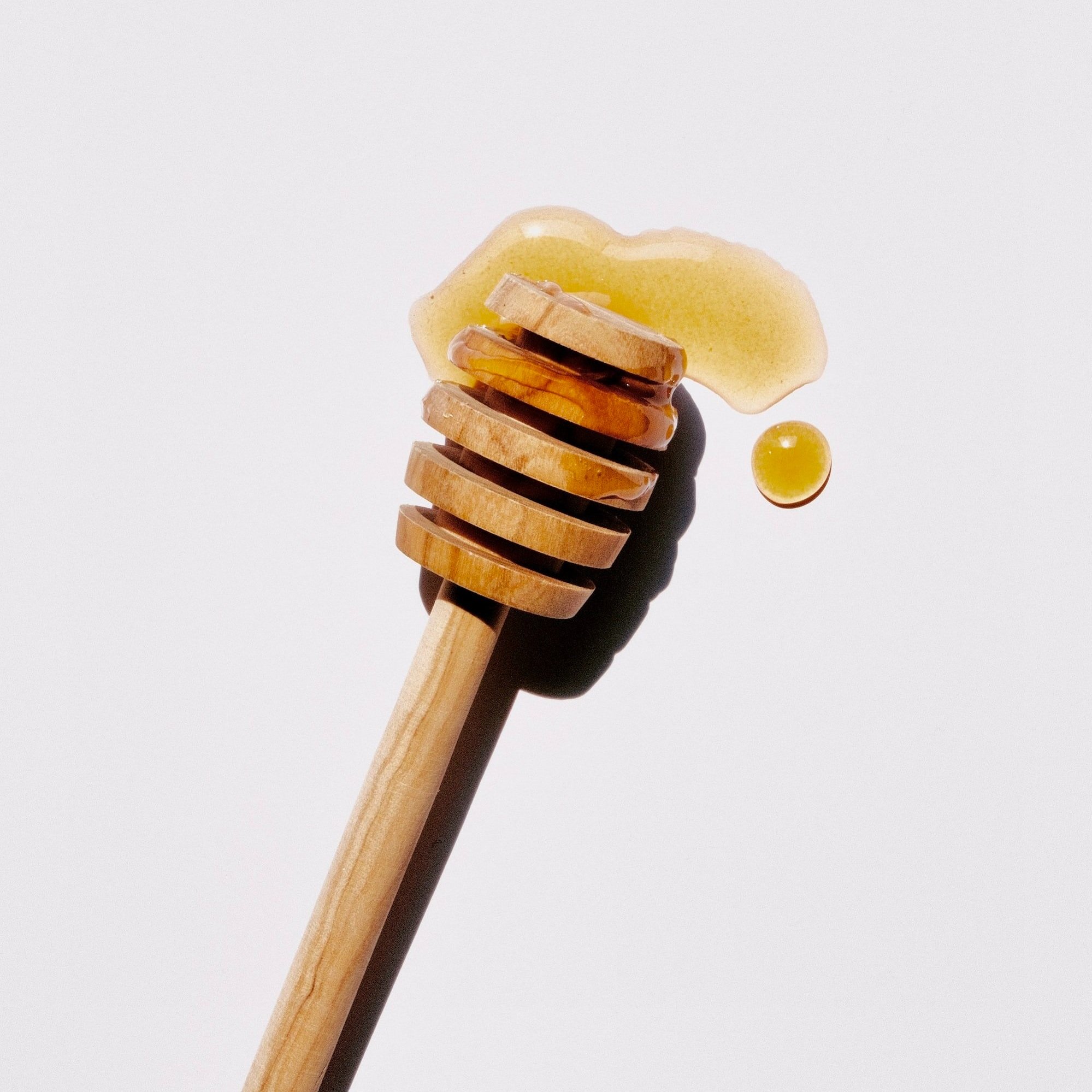 image of a Honey Dipper